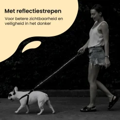 Markenlos All 4 Pets Supply Reflektierende Hundeleine - 3 Meter< Sicherheit & Leinen
