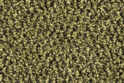 Hamat Sauberlaufmatten-Ingresso 90 x 150 cm Fußmatte - Green