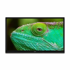 Lenco Fernseher-LED-2423BK 24-Zolll Fernsehen