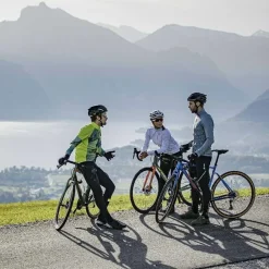 Löffler Fahrradbekleidung^Shalerock grünes Herren Langarm-Radtrikot