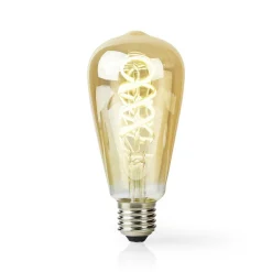 Nedis Innenraumbeleuchtung|Innenraumbeleuchtung^WIFILRT10ST64 SmartLife LED Filament Lampe