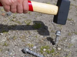 Peggy Peg Heringe|Heringe-Schlaghering