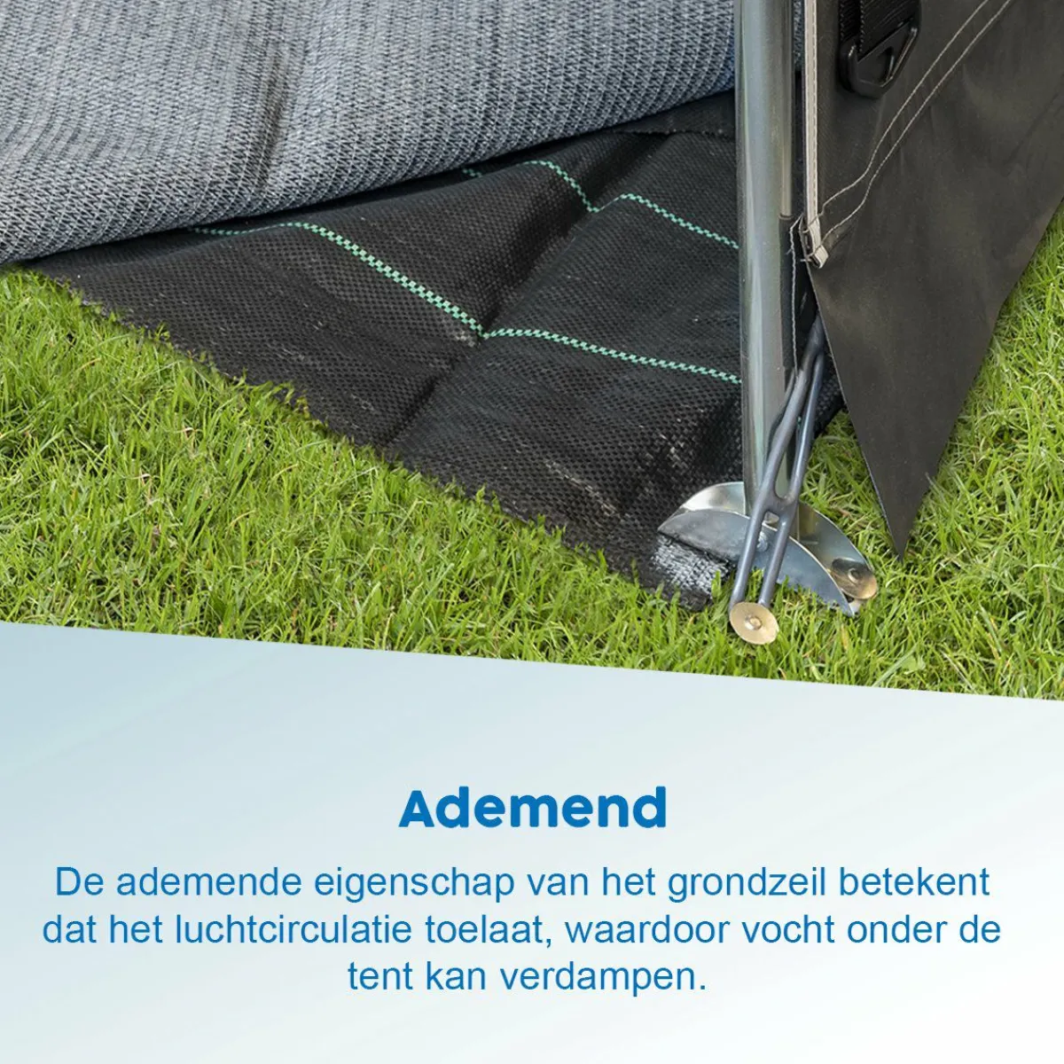 ProPlus Eco Bodenplane - 2,5 x 3 Meter< Bodenplane|Bodenplane