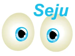 Repusel Wohnwagenspiegel^Seju Baby Innenspiegel mit Saugnapf