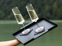 Silwy Gläser^2er set SEKT Magnet Kunststoffgläser