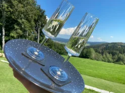 Silwy Gläser^2er set SEKT Magnet Kunststoffgläser