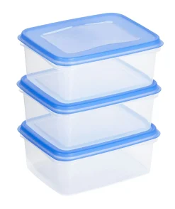 Sunware Aufbewahrungsboxen-Club Cuisine 1,2 Liter Transparentes blaues Gefrierbox-Set