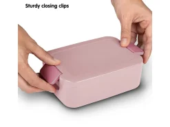Sunware Schüssel & Schalen^sigma home Food 2er-Set Lunchbox klein - rosa