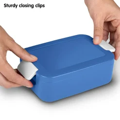 Sunware Schüssel & Schalen^Sigma home Food to go kleiner Lunchbox - Blue