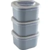 Sunware Schüssel & Schalen-Sigma home Food to go 3er-Set Lunchboxen - Blue