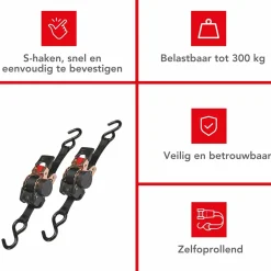 Markenlos Chassiszubehör^Toolland ARAT11X2 2-teiliger Spanngurt-Set mit Ratsche - 3 Meter