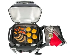 Weber Elektrogrills|Elektrogrills-Pulse 2000 Stand Elektrogrill