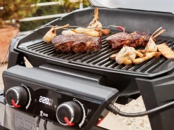 Weber Elektrogrills|Elektrogrills-Pulse 2000 Stand Elektrogrill