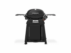 Weber Gasgrills|Gasgrills-Q 2800N+ Stand-Gasgrill