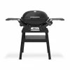 Weber Q 2200N Stand-Gasgrill< Campinggrills|Campinggrills
