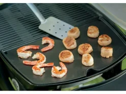 Weber Grillroste- & Platten|Grillroste- & Platten-Q2000 Serie Grillplatte